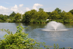 Cameron Station Ben Brenman Park Lake