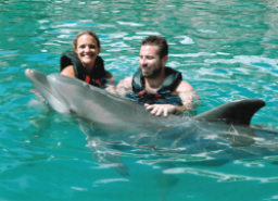 Chris & Julie Swimming with the Dolphins in Bermuda