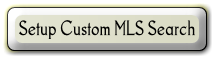 Setup Custom Search