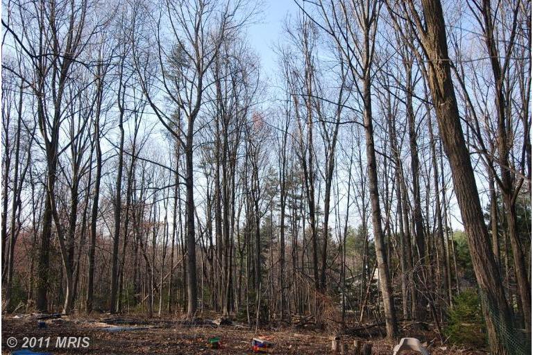 1100 Bellview Rd