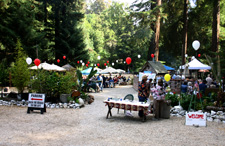 BBQ Area