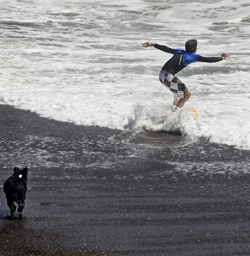 Surfing.jpg