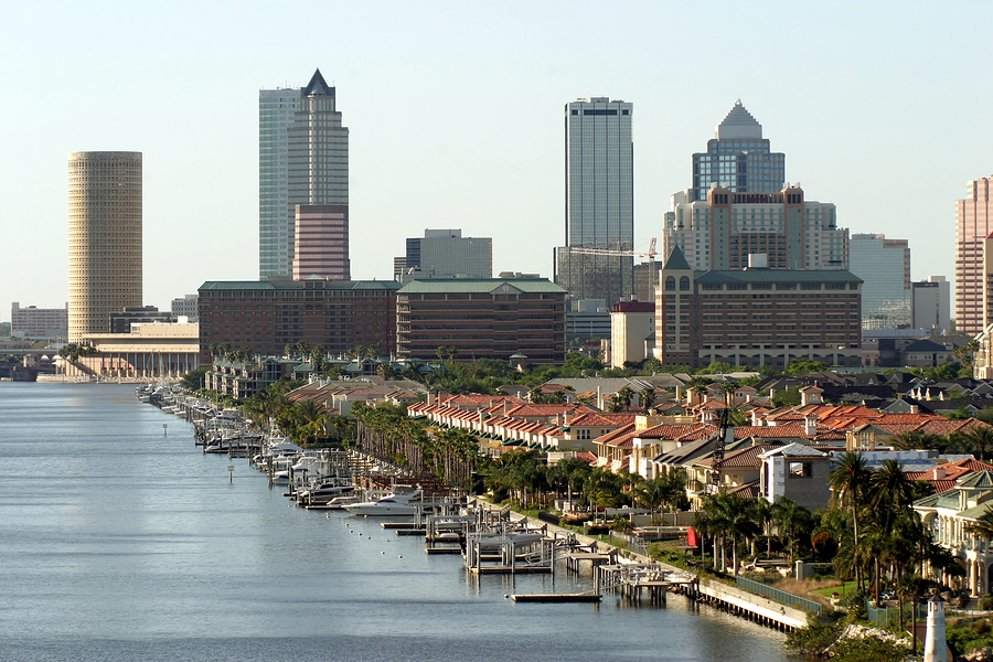 Tampa Bay Water Front Tampa Bay Water Front View